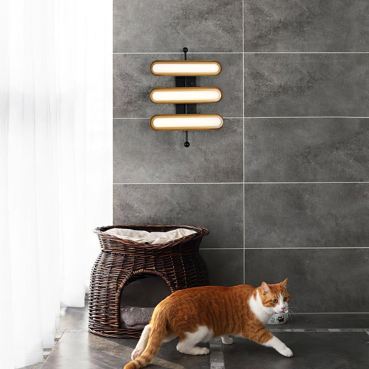 A three-capsule Clérachic wall light on a grey tiled wall above a wicker pet bed and a walking ginger cat.