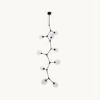 Black Clérachic vertical chandelier on a plain white backdrop, with clear glass globes on thin branching arms stepping down from a ceiling rod.