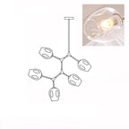 Line drawing of the 5-head Clérachic chandelier, with an inset close view of a lit clear glass globe.