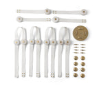 Flat lay of the white leather Clérachic Leather Strap Chandelier kit, alabaster discs, brass canopy and brass fixings.