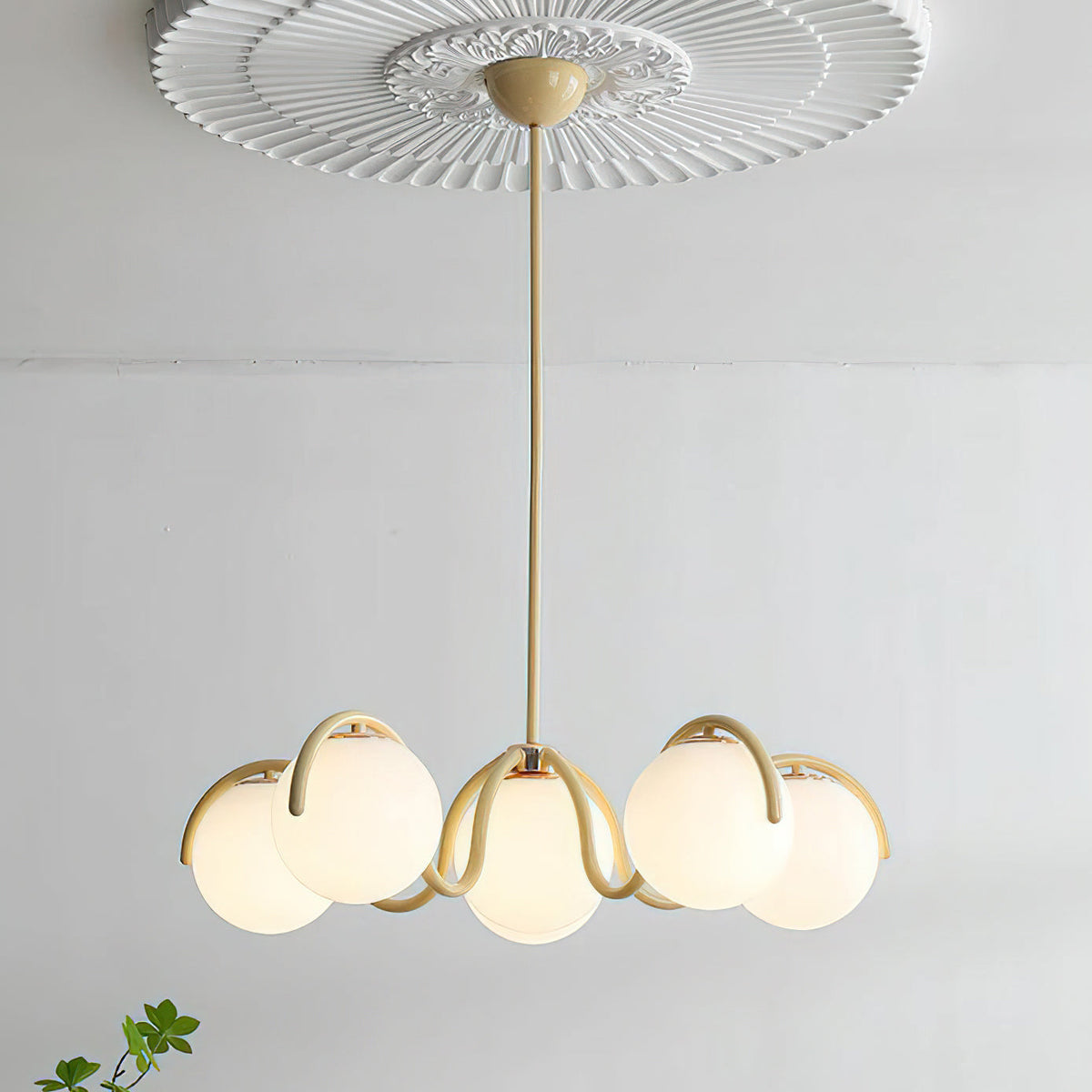 Creamy yellow Clérachic chandelier hanging below a plaster ceiling rose, its six glass globes lit warm.