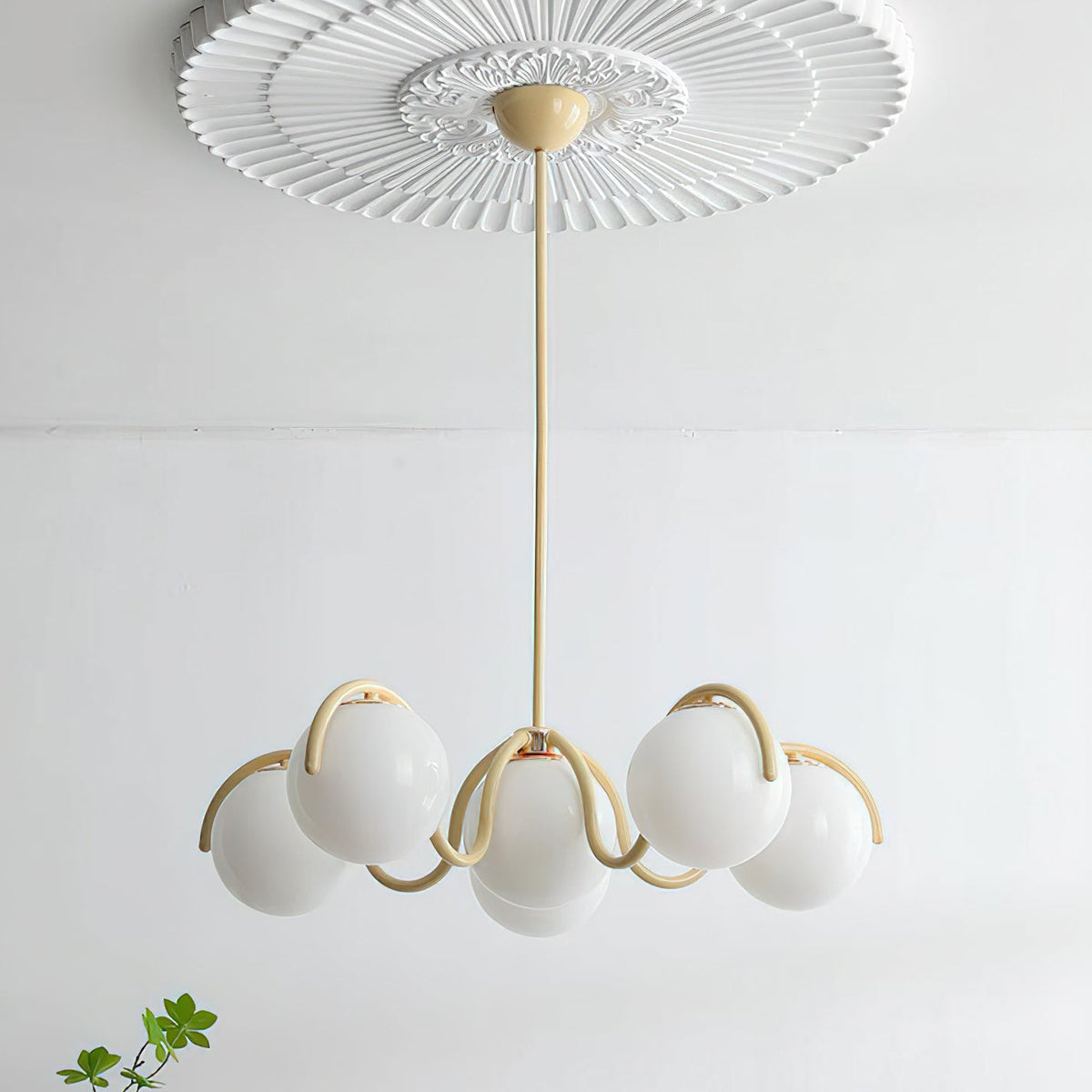 A creamy yellow Clérachic chandelier with its globes unlit, hung from a ceiling rose with a green sprig below.