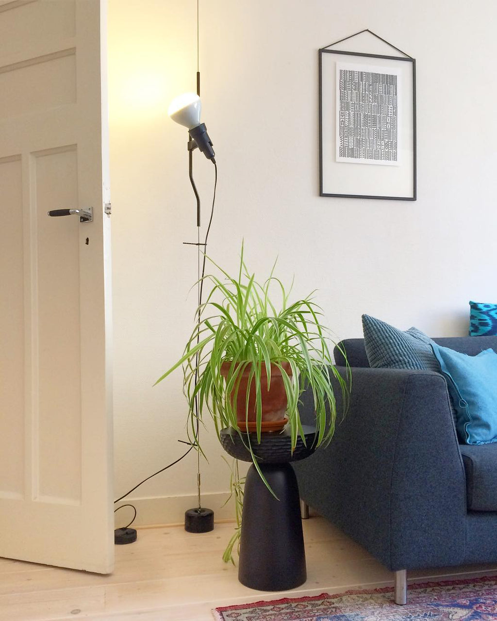 A Clérachic pendant spotlight lit above a spider plant on a dark pedestal, beside a navy sofa and a white door.