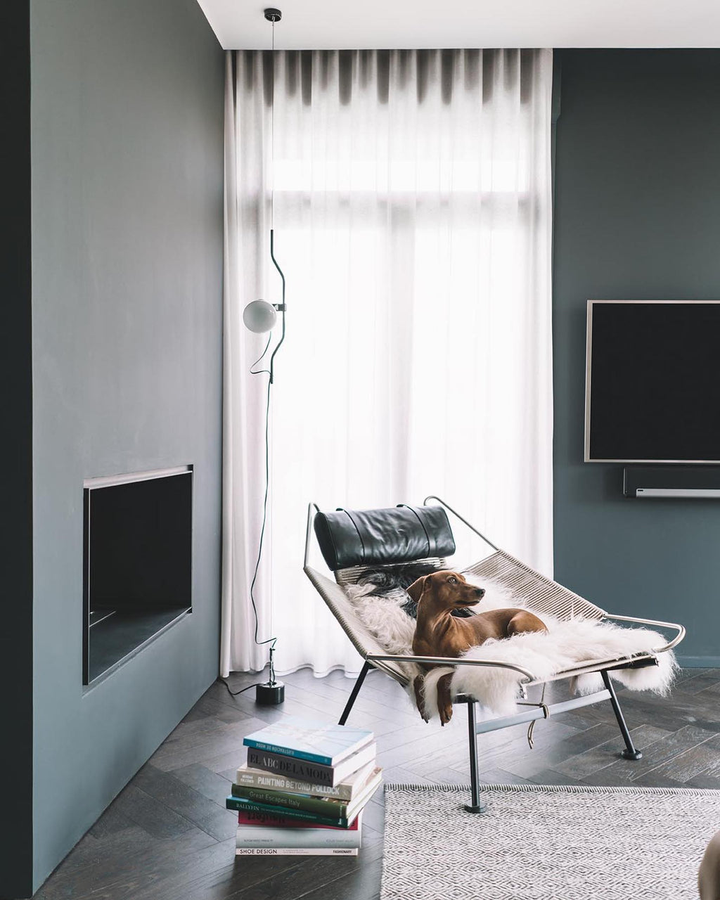 A Clérachic pendant hanging by sheer curtains in a slate-green room, with a lounge chair, a dog and a stack of books.