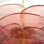 Close-up of the pink glass leaves on the Clérachic lotus leaf chandelier, each rimmed in deep red around the rod.