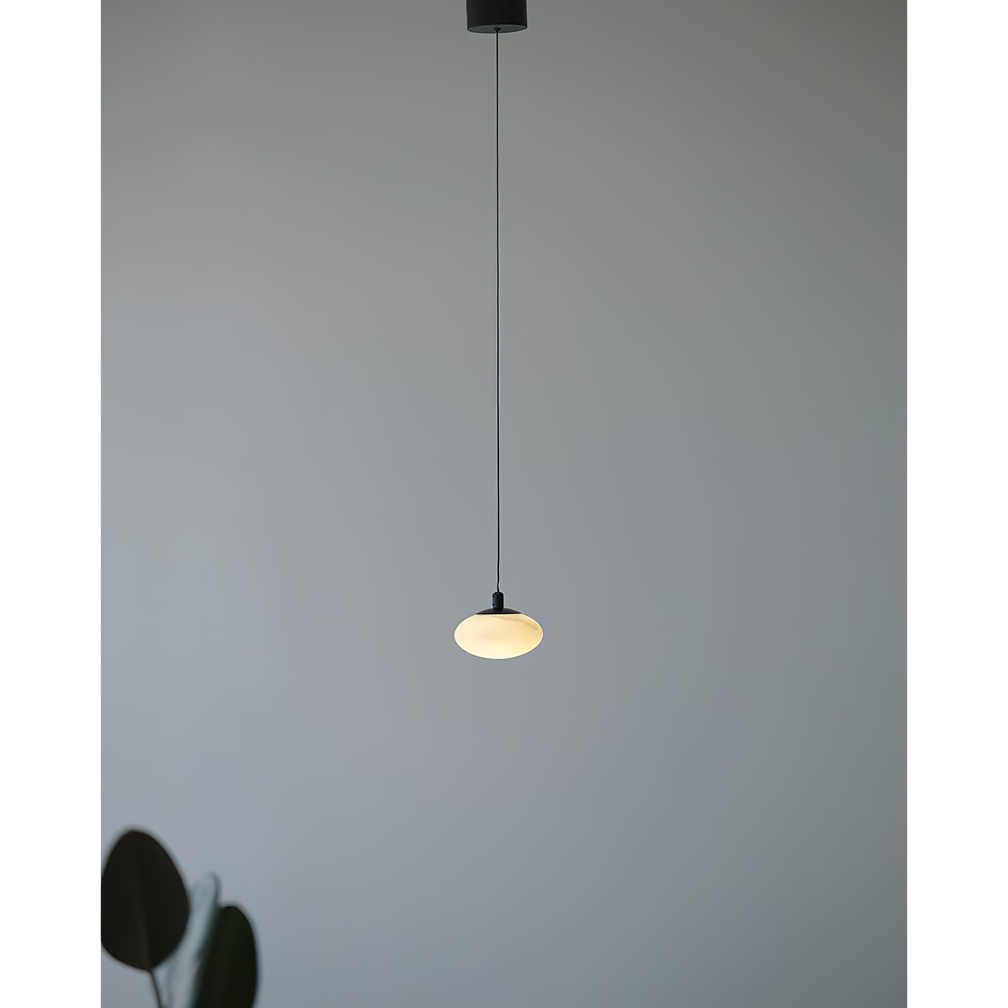 Clérachic Mini Discus pendant light lit on a long cord from a matte black ceiling cylinder, a plant leaf in the corner.