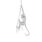 White monkey on a slim rope against a clean white background, bulb holder in hand and its tail curled; this Clérachic pendant light.