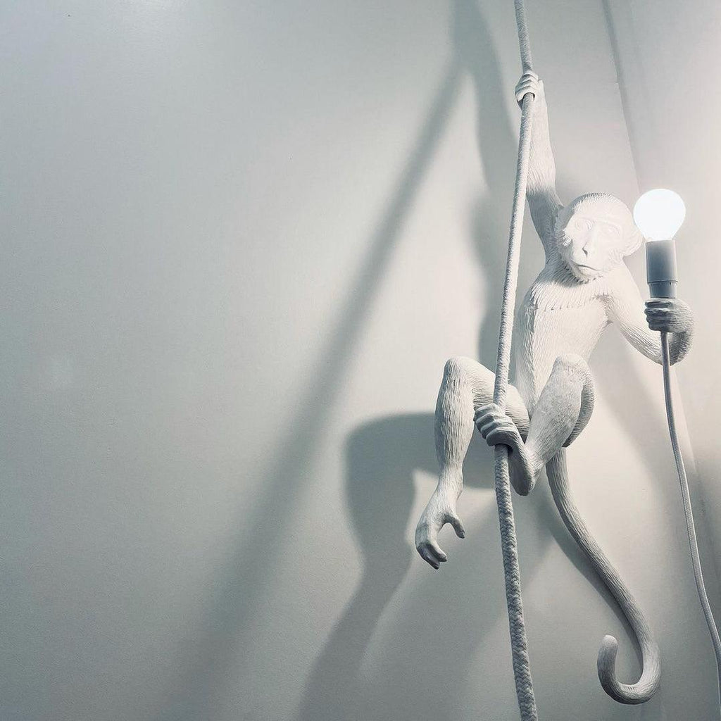 White monkey on a thick rope casting a long shadow on a pale grey-green wall, with the round bulb lit; a Clérachic pendant.