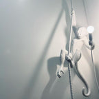 White monkey on a thick rope casting a long shadow on a pale grey-green wall, with the round bulb lit; a Clérachic pendant.