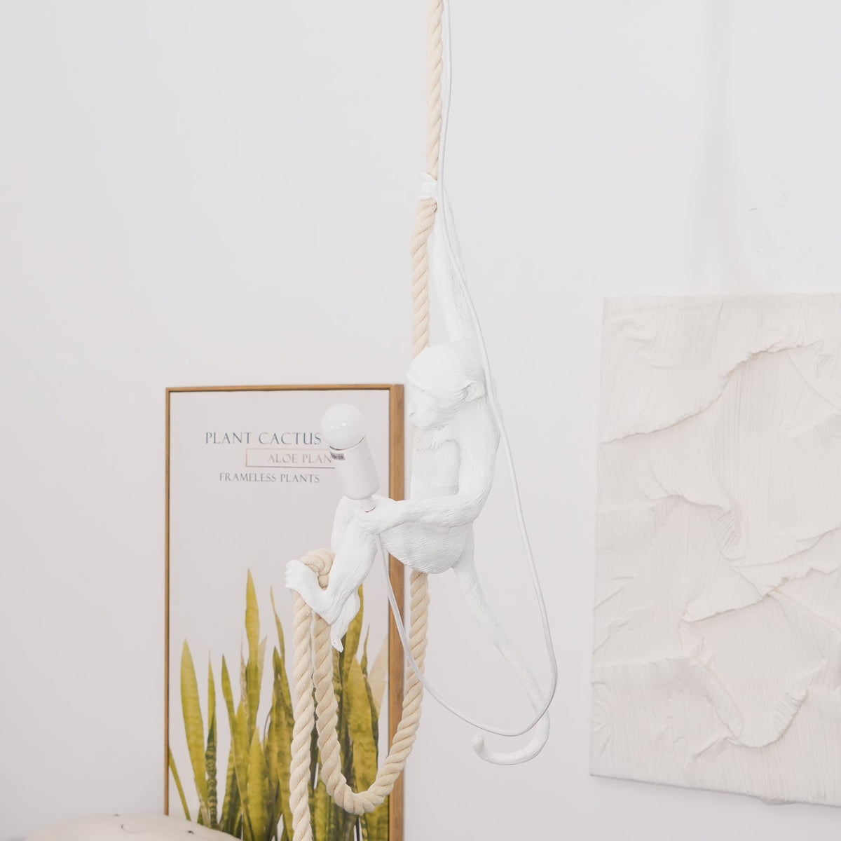 Small white monkey on a doubled rope seen from a distance, a lit bulb at its side, with a framed plant print and plaster art; from Clérachic.