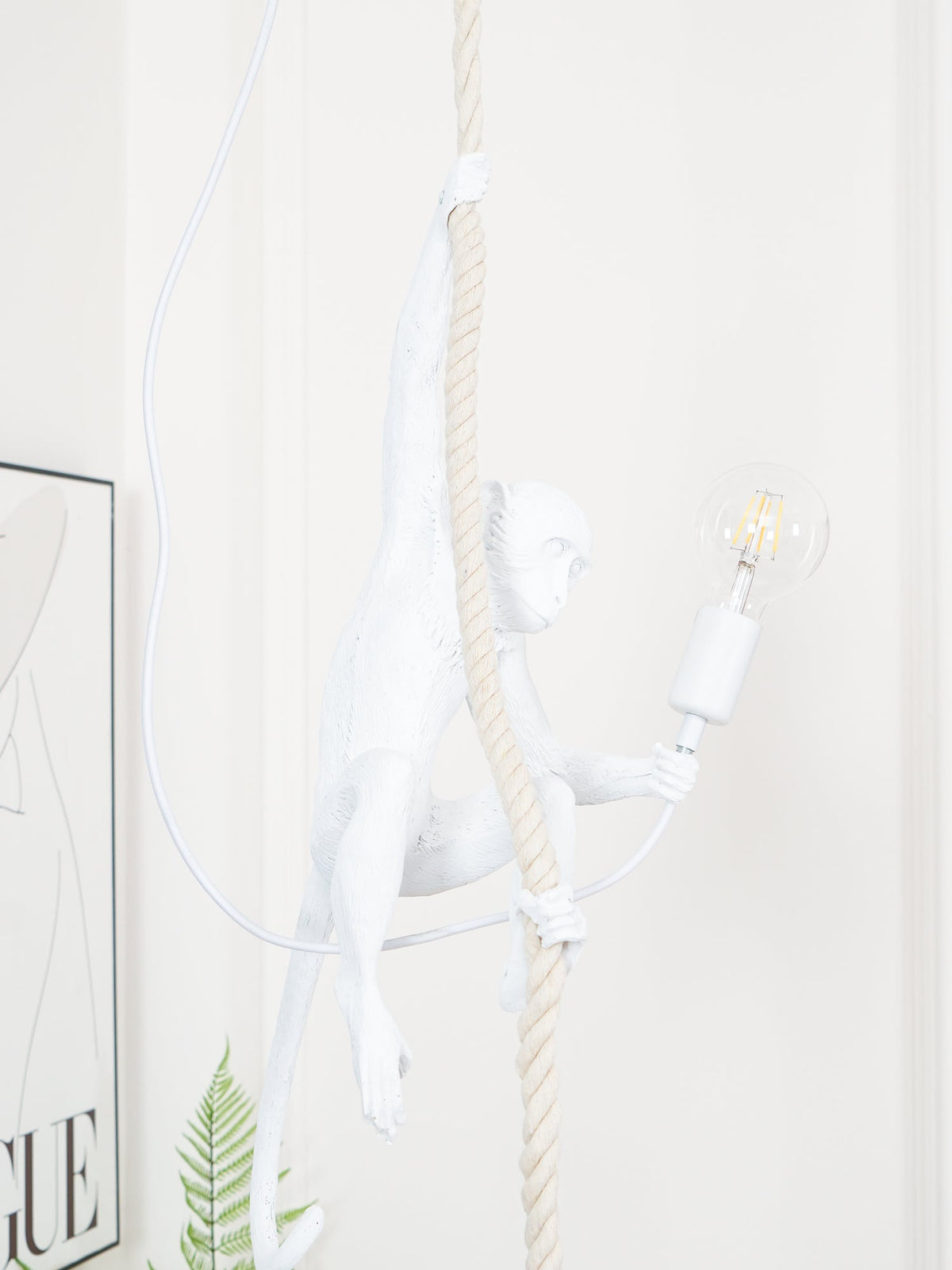 White monkey leaning from a slim rope holding a filament bulb, its cord looped to one side, in a bright room; from Clérachic.