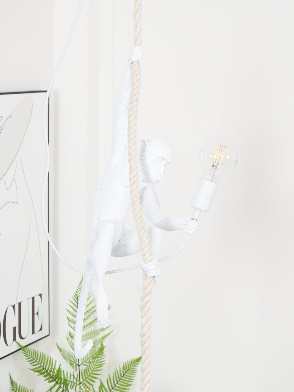 White monkey on its rope with a filament bulb on, a fern at the bottom of the frame and a framed print to the left; Clérachic.