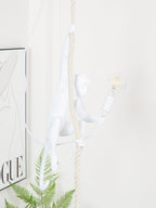 White monkey on its rope with a filament bulb on, a fern at the bottom of the frame and a framed print to the left; Clérachic.