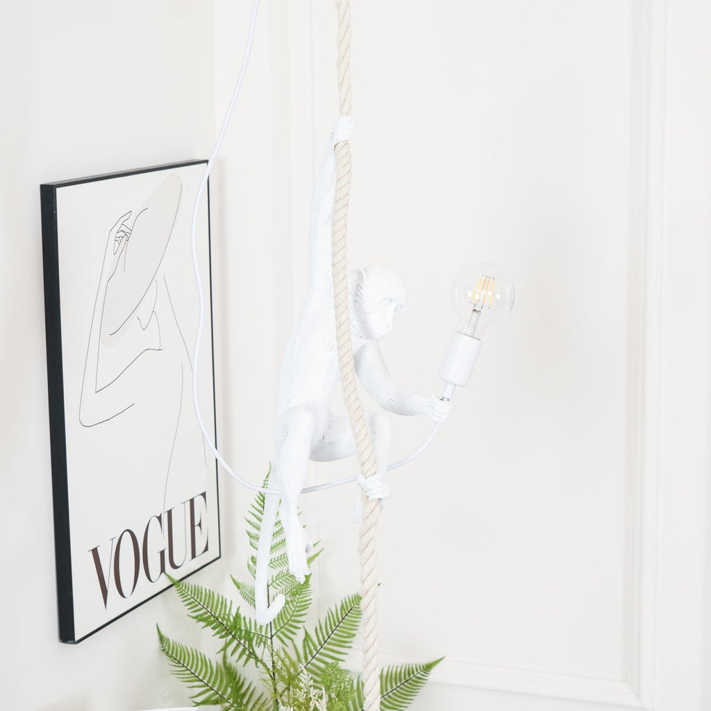 This Clérachic pendant frame shows the white monkey seated low on its rope, a filament bulb lit, beside a black-framed print and a fern.