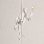 White monkey wrapped around a thick rope on a soft beige wall, holding a clear filament bulb, its cord coiled below; a Clérachic pendant.