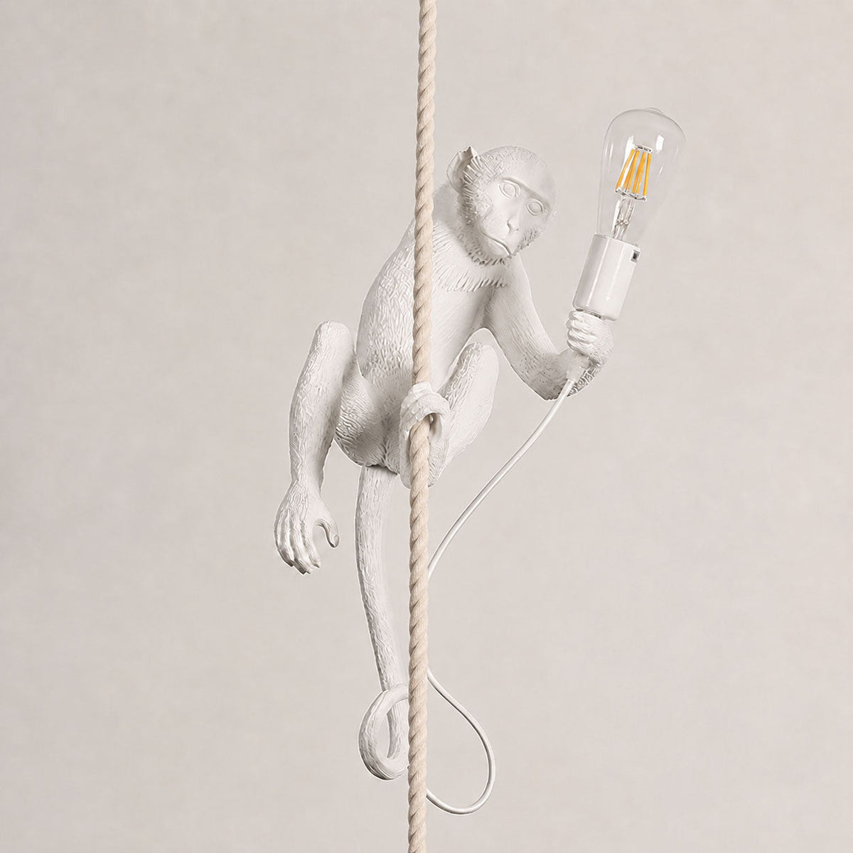 White monkey wrapped around a thick rope on a soft beige wall, holding a clear filament bulb, its cord coiled below; a Clérachic pendant.