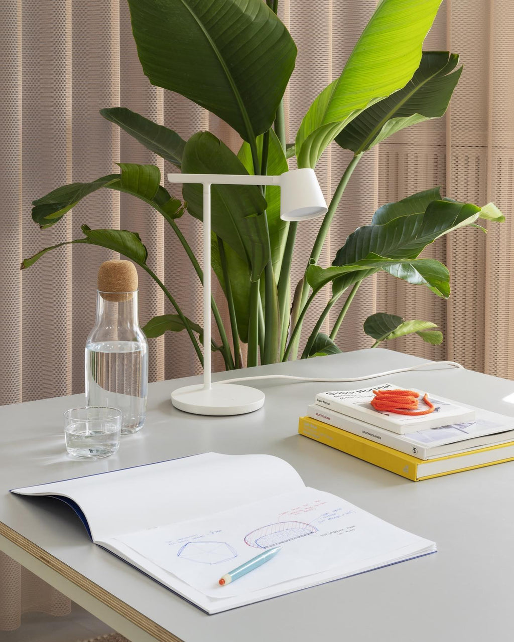 White Clérachic table lamp on a grey desk behind a glass carafe and a stack of books, with a tall green leafy plant beside it.