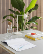 White Clérachic table lamp on a grey desk behind a glass carafe and a stack of books, with a tall green leafy plant beside it.