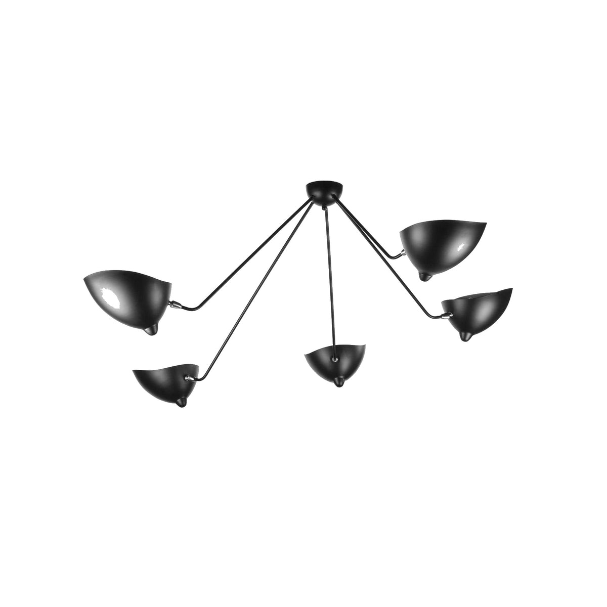 Dimension drawing of the multi arm spider ceiling lamp b, in outline against white.