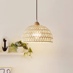 Lit Clérachic open-weave dome pendant against a cream wall, with a trailing green plant on a white shelf and a small black figure beside it.