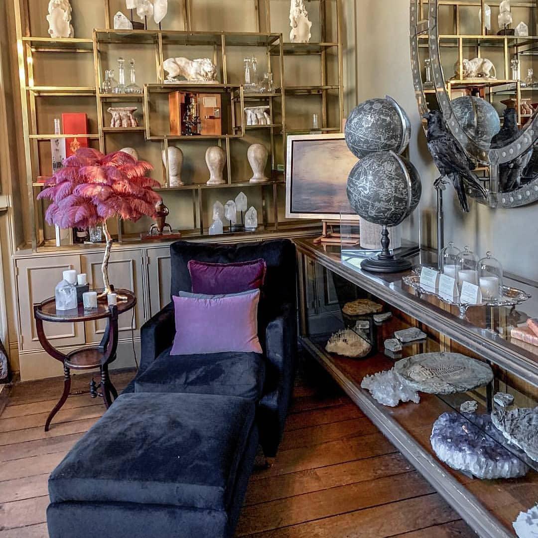 Clérachic table lamp with plum-purple feathers on a shelf in a book-lined room, beside a dark velvet chaise and a pair of globes.