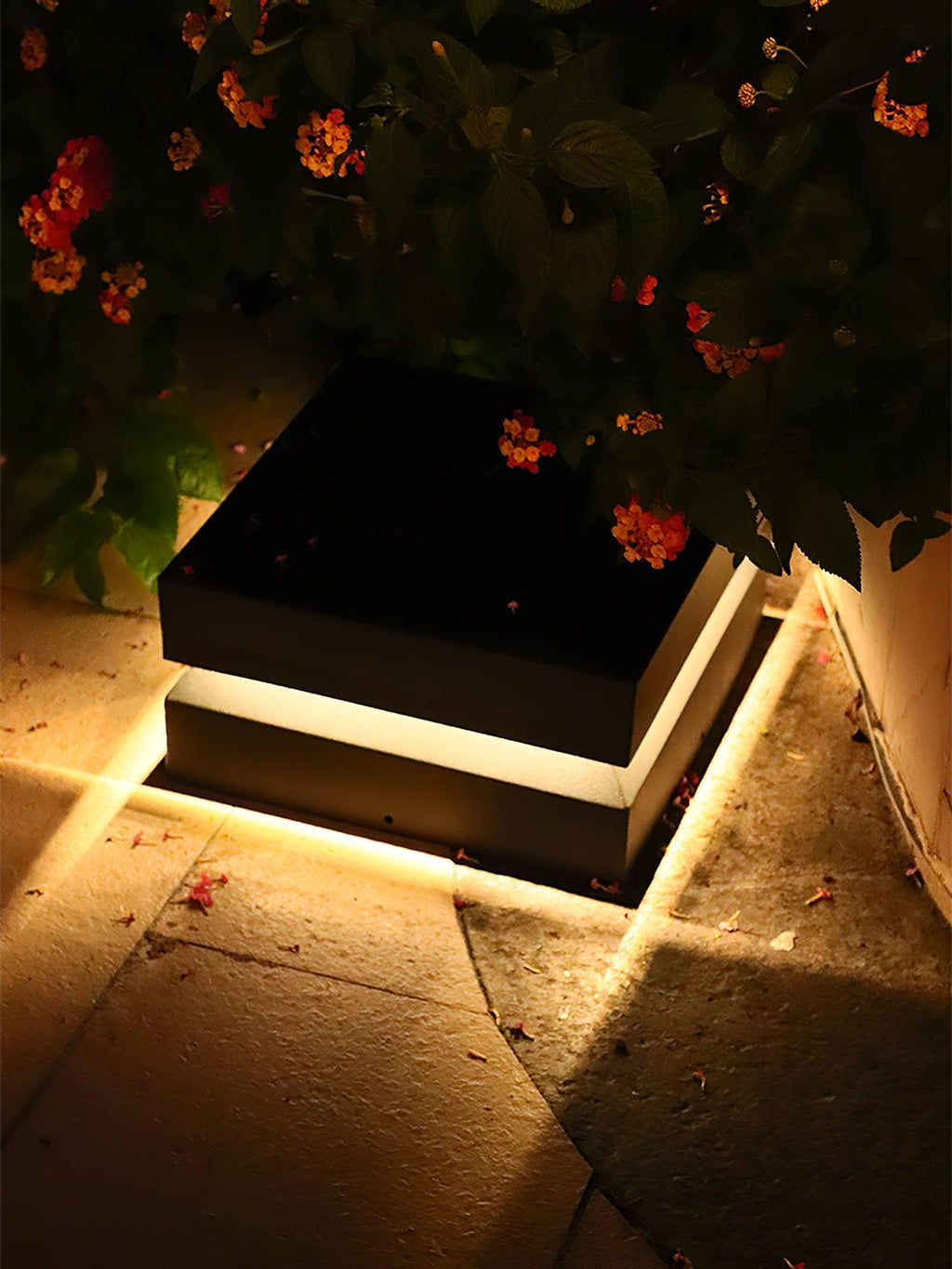 Clérachic post light glowing warm under flowering branches at night, its light spilling over paving.