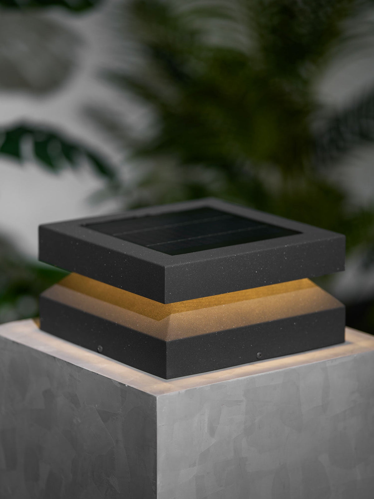 A Clérachic post light glowing softly on a pale block, with dark foliage blurred behind it.