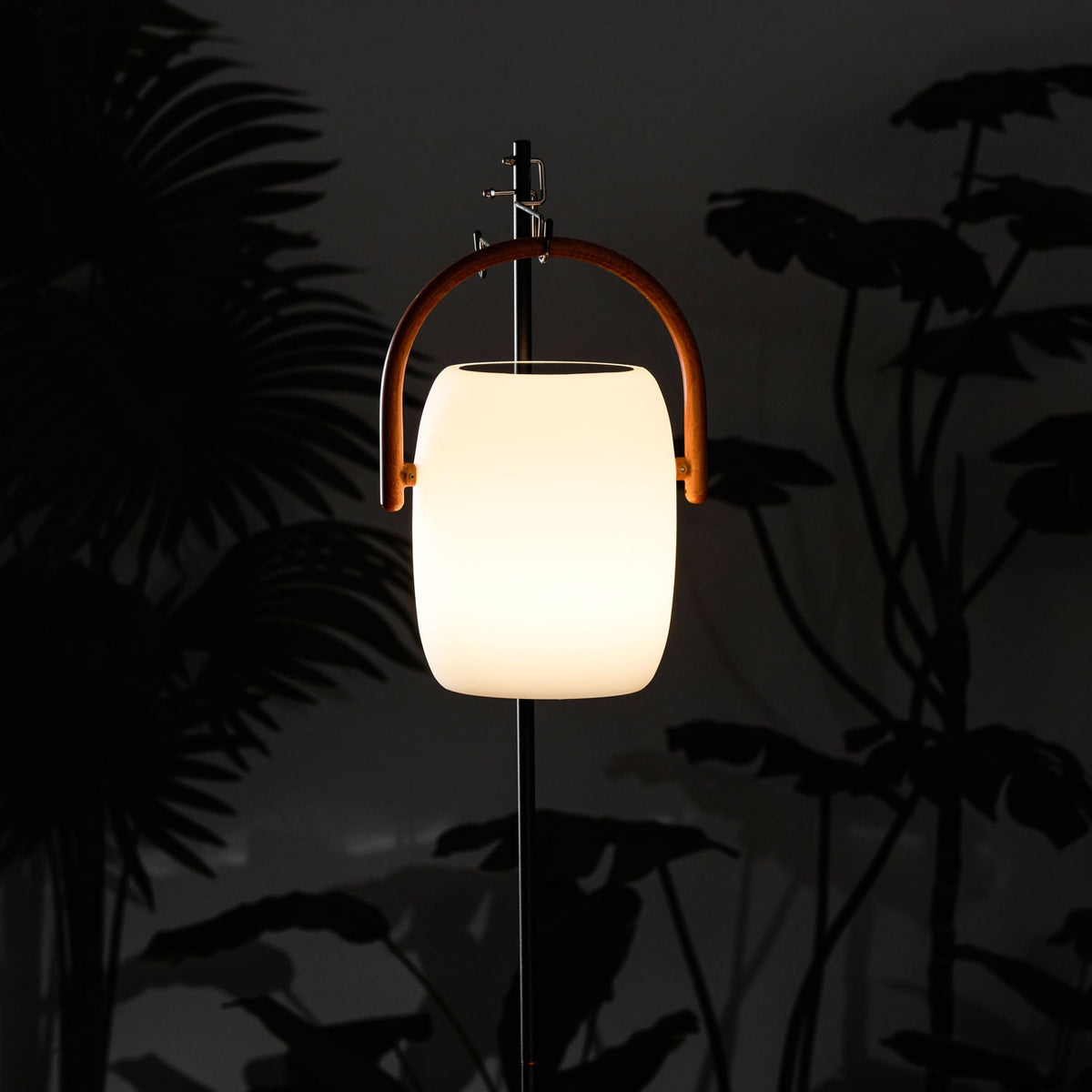 A Clérachic lantern glowing warm on a pole against the silhouettes of large dark leaves at night.