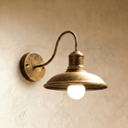 Clérachic bronze gooseneck wall lamp with a broad downward-facing dome shade and a lit opal globe bulb on plaster