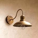 Clérachic brushed bronze gooseneck wall lamp, shade facing down over a clear bulb, mounted on a plaster wall