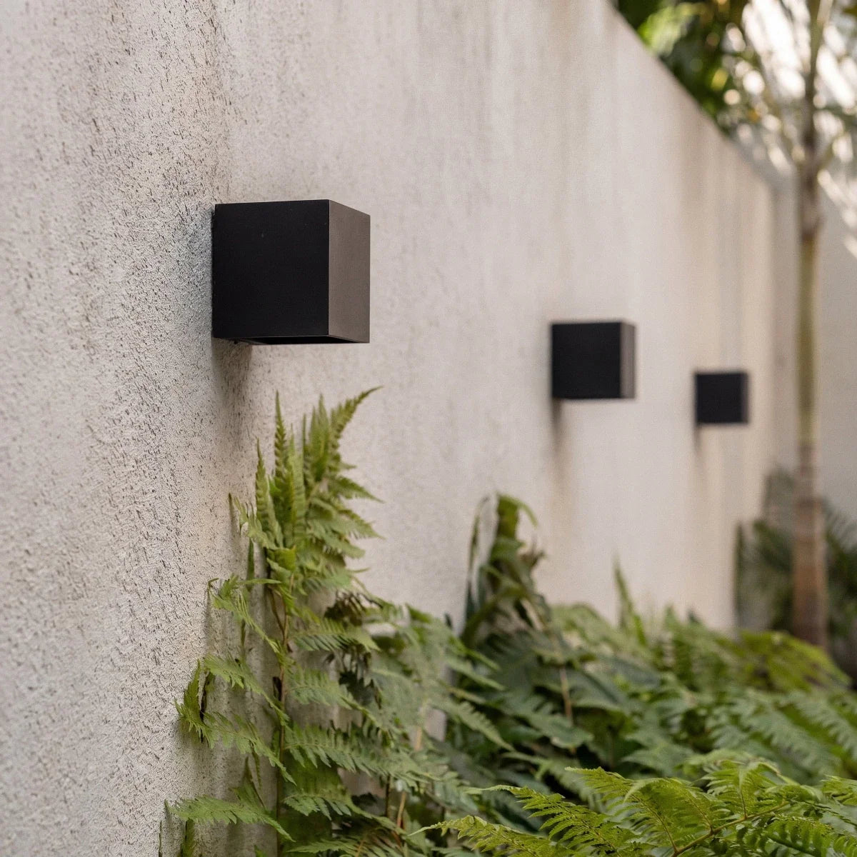 Clérachic black cube wall lights spaced along a grey textured garden wall above ferns, unlit in soft daylight.