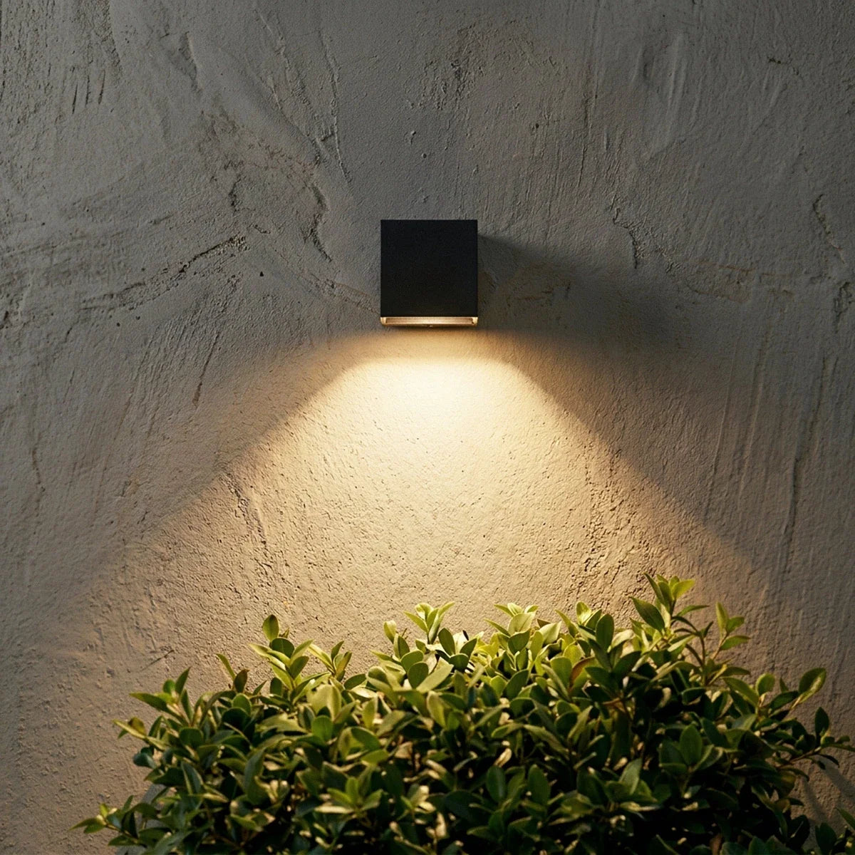 Single Clérachic black cube wall light on a rough grey plaster wall, throwing a soft downward cone over a clipped shrub.