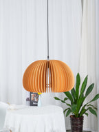 Clérachic slatted dome pendant in front of white curtains, with a table of books and a large leafy plant at the right.