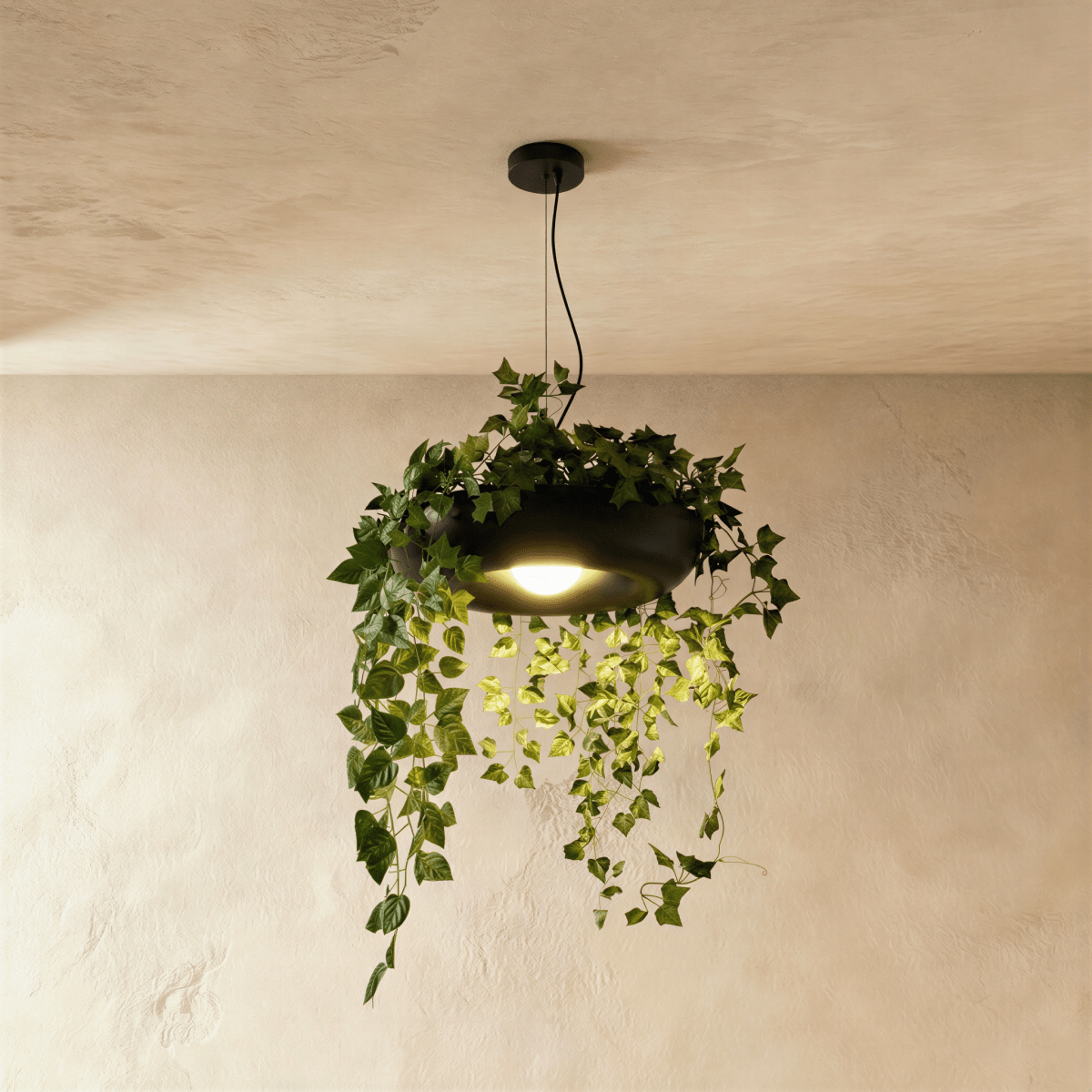 Clérachic black metal planter-style pendant with trailing artificial ivy and a warm bulb glowing beneath, on a limewash wall.