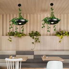 Two Clérachic black planter-style pendants with ivy trailing from their rims, hung above a wood-slatted wall and grey banquette seating.