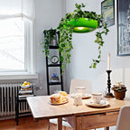 Clérachic green planter-style pendant with trailing ivy hung above a pine table set for coffee, beside a window and radiator.