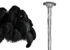 Black feather sample with the silver-finish carved stem, shown on white for this Clérachic chandelier.