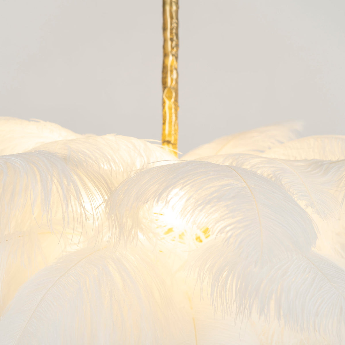 Close view of white feathers glowing around the lamp holder, with the brass stem coming down into this Clérachic chandelier.