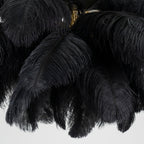 Detail of glossy black ostrich plumes layered over one another on this Clérachic chandelier, with a hint of brass above.
