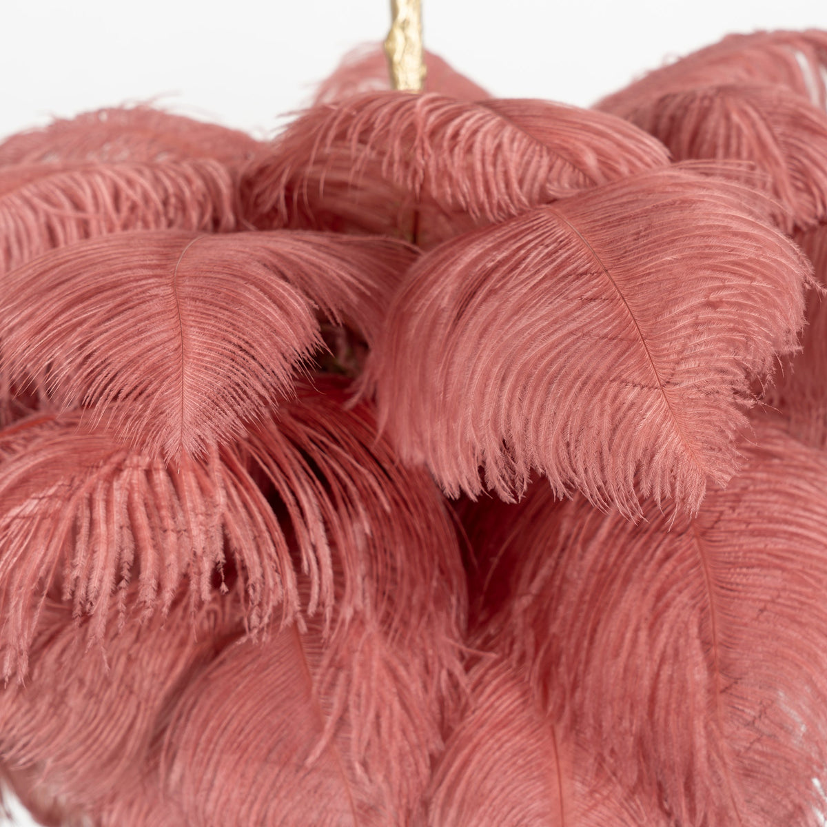 Close view of rose-pink feather barbs layered on this Clérachic chandelier, with the brass stem just visible at the top.