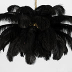 Black ostrich plumes hang in a full, soft cascade from the brass stem of this Clérachic chandelier.