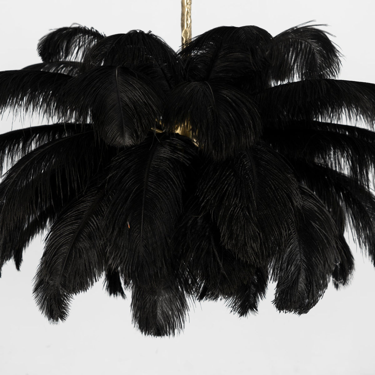 Black ostrich plumes hang in a full, soft cascade from the brass stem of this Clérachic chandelier.