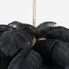 Close view of black feathers gathered at the brass stem of this Clérachic chandelier.