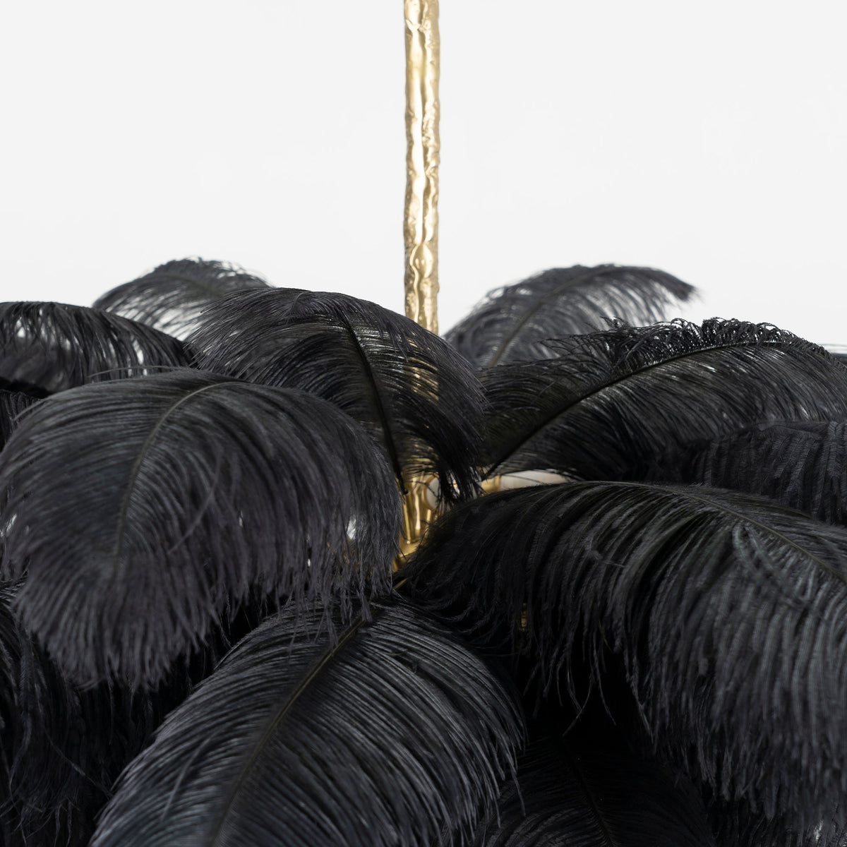 Close view of black feathers gathered at the brass stem of this Clérachic chandelier.