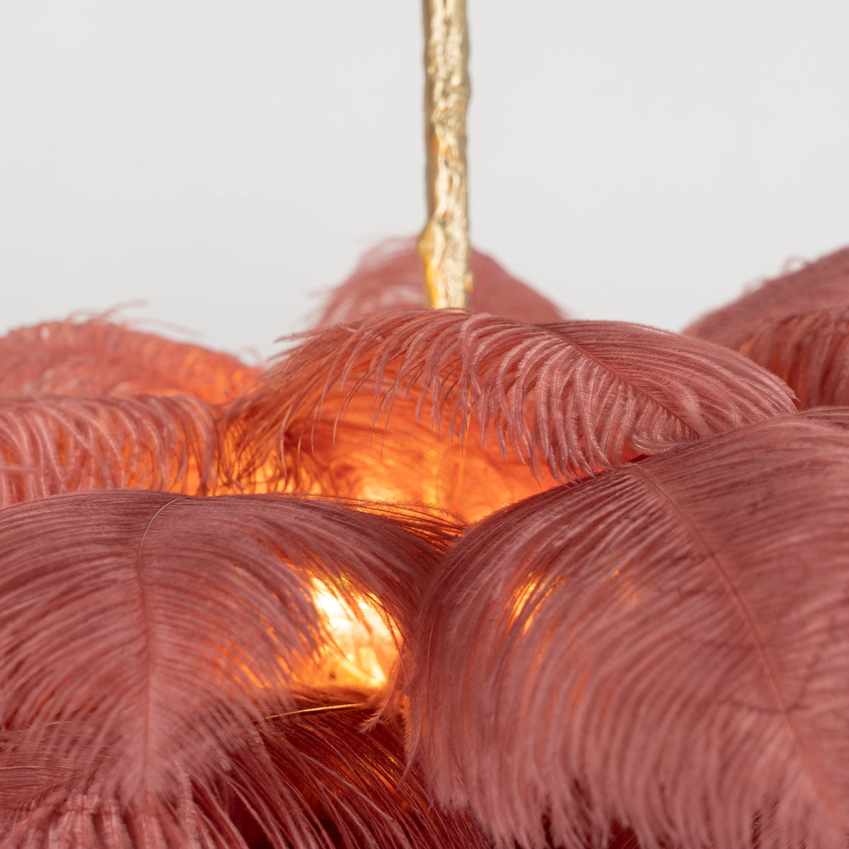 Warm light shines through the dusty-rose feathers at the core of this Clérachic chandelier.