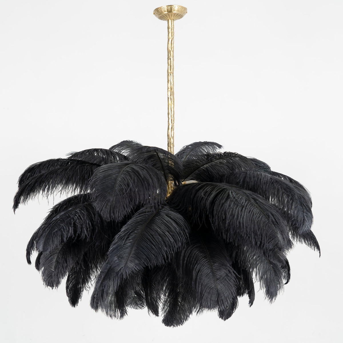 Black feathers sweep out and down from a brass canopy and stem on this Clérachic chandelier, shown whole on a pale grey backdrop.