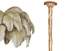 Sand feather sample with the brass-finish carved stem, shown on white for this Clérachic chandelier.