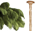 Colour sample for a Clérachic chandelier: moss-green feathers next to a brass-finish stem, on a plain white backdrop.