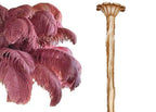 Swatch of raspberry-pink ostrich feathers beside the brass-finish stem and ceiling cup of this Clérachic chandelier.