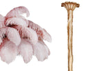Swatch of pale pink ostrich feathers beside the brass-finish stem and ceiling cup of this Clérachic chandelier.